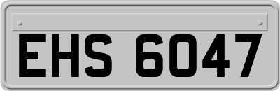 EHS6047
