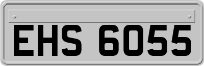 EHS6055