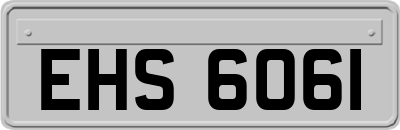 EHS6061