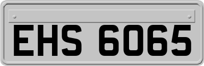 EHS6065