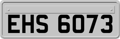 EHS6073