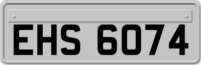 EHS6074