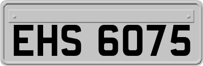 EHS6075