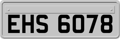 EHS6078