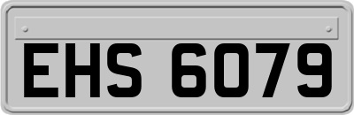 EHS6079