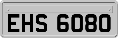 EHS6080