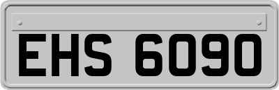 EHS6090