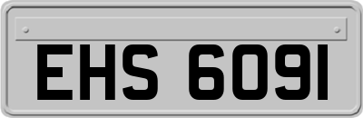 EHS6091