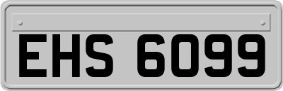 EHS6099