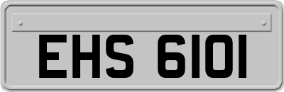 EHS6101