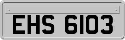 EHS6103