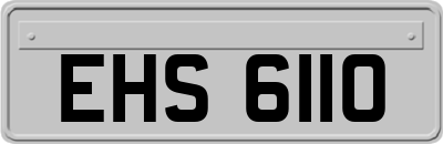 EHS6110