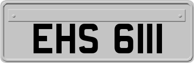 EHS6111