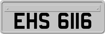 EHS6116