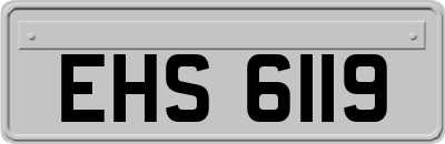 EHS6119