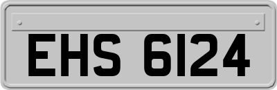 EHS6124