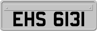 EHS6131