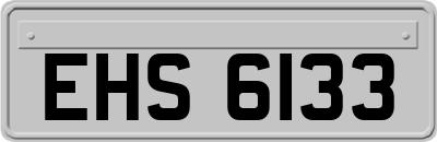 EHS6133