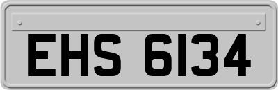 EHS6134