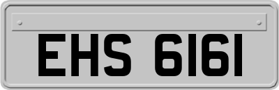 EHS6161