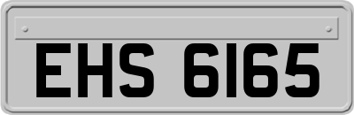 EHS6165