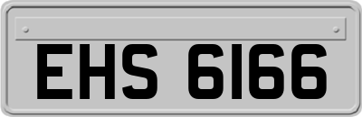 EHS6166