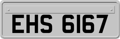 EHS6167