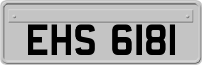 EHS6181