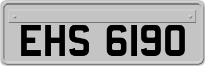 EHS6190