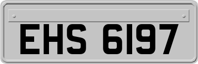 EHS6197
