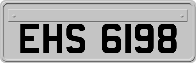 EHS6198
