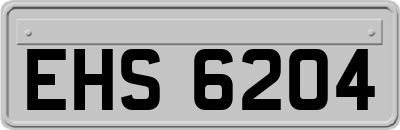 EHS6204
