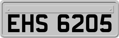 EHS6205