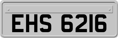 EHS6216