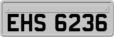 EHS6236
