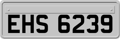 EHS6239