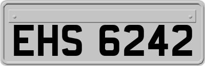 EHS6242