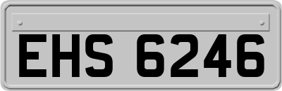 EHS6246