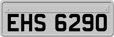 EHS6290