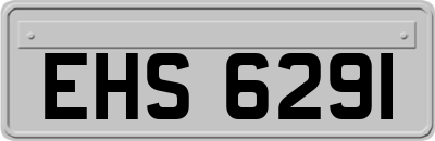 EHS6291