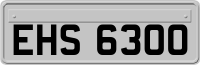 EHS6300