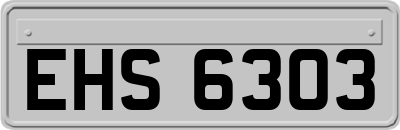 EHS6303