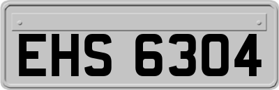 EHS6304
