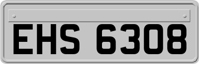 EHS6308