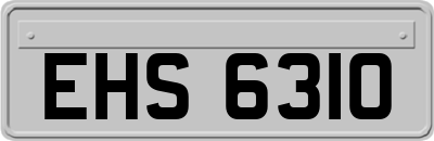 EHS6310