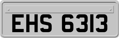 EHS6313