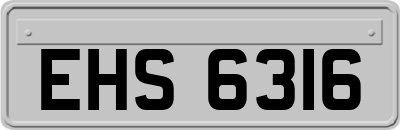 EHS6316
