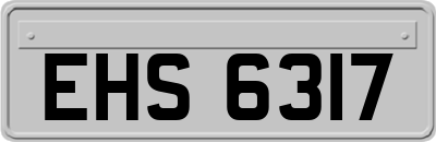 EHS6317
