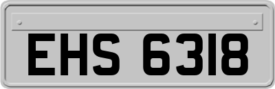 EHS6318