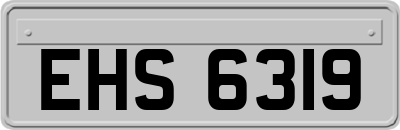 EHS6319